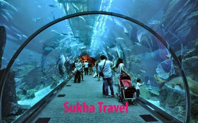 du lịch Dubai - Abu Dhabi - Sukha Travel (11)
